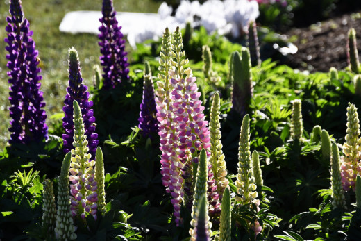 �1759916 �������(a): ����������:1920x1280